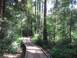 COQUITLAM: EXPLORE MUNDY PARK