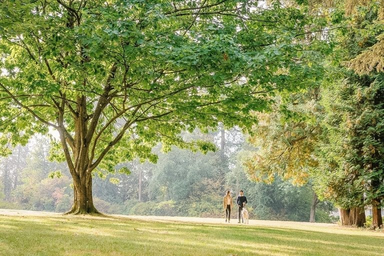 BURNABY’S HIDDEN OASIS: HELLO DEER LAKE PARK