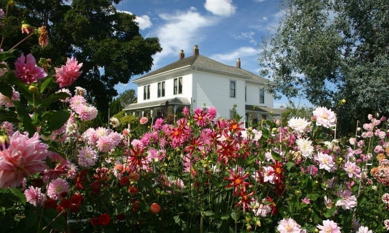 RICHMOND: LONDON HERITAGE TEA FARM