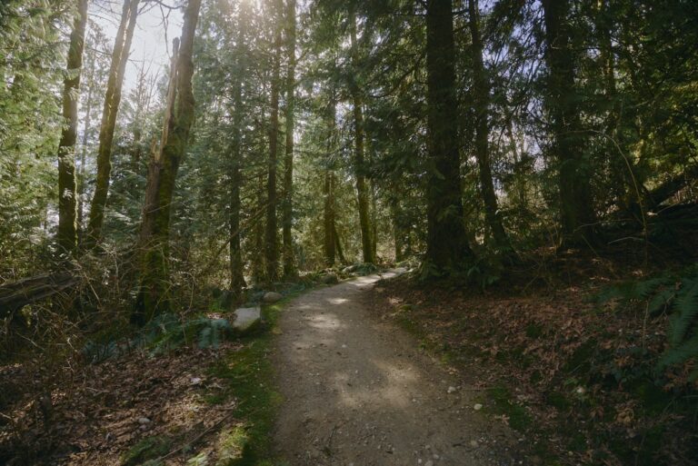 BURQUITLAM: HOW GARDENA’S CONNECTION TO NATURE MAKES LIFE JUST THAT MUCH BETTER